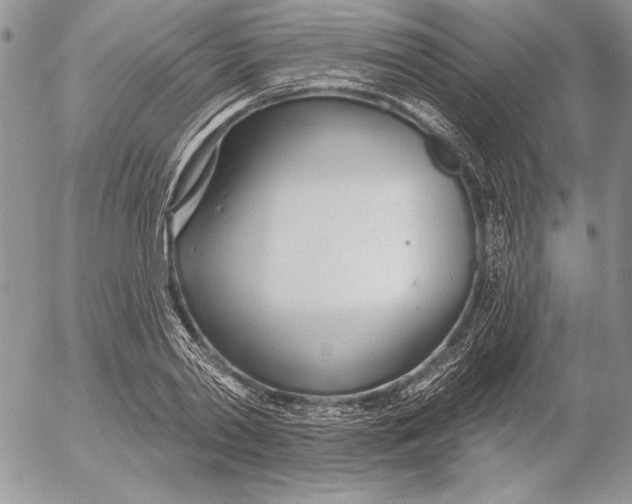 X0000053000790200507291641