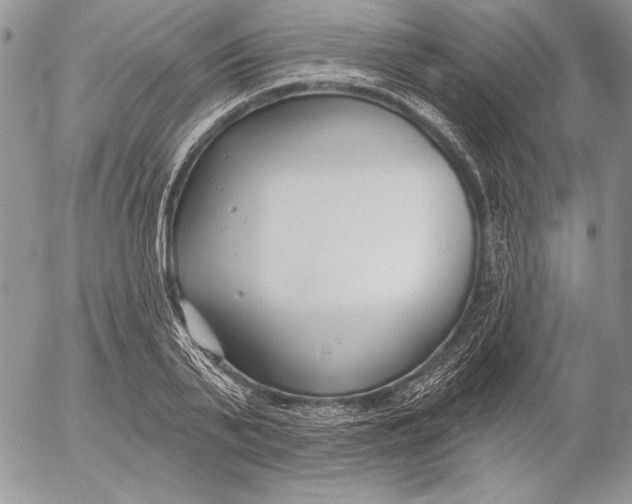 X0000053000791200507291641