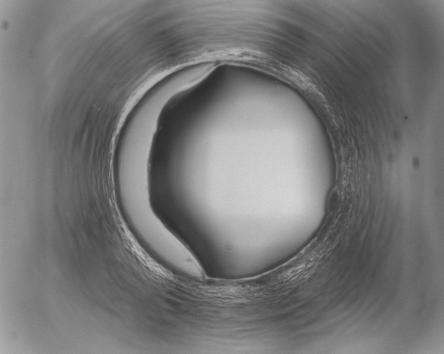 X0000053000792200507291641