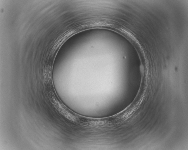 X0000053000793200507291641