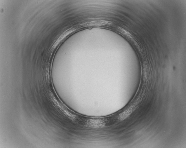 X0000053000794200507291641