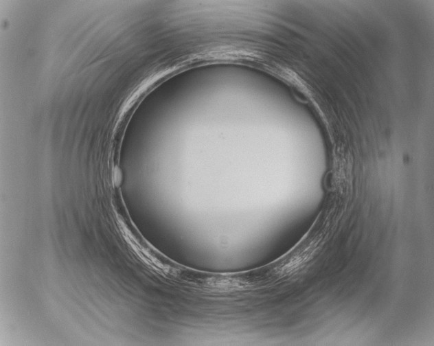 X0000053000795200507291641