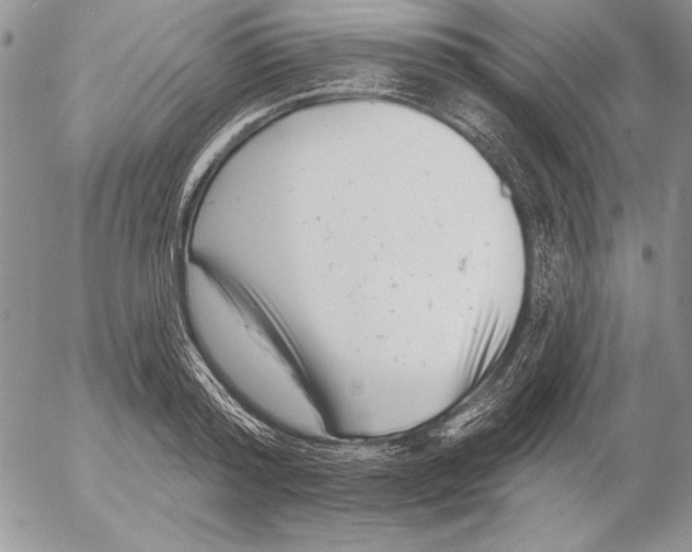 X0000053000796200507291641