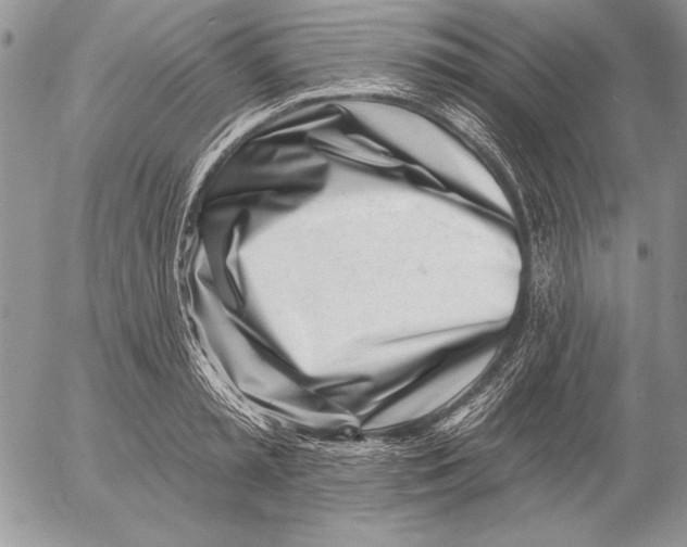 X0000053000797200507291641