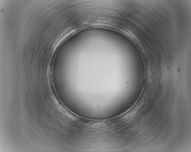 X0000053000798200507291641