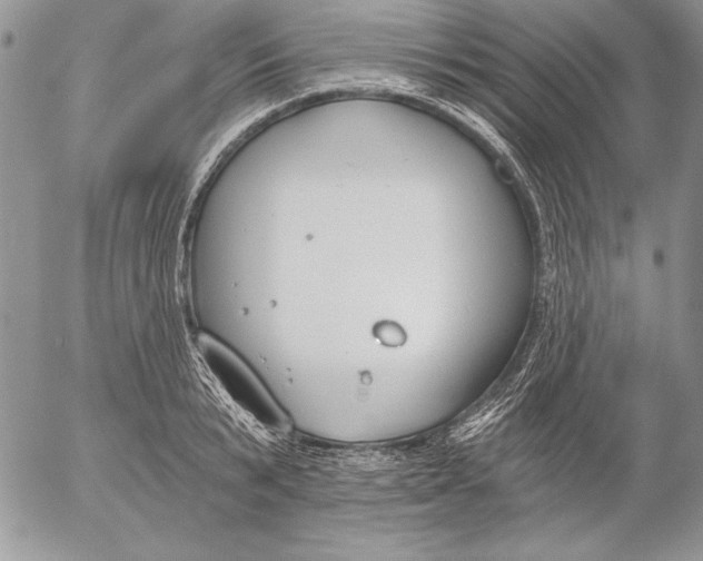 X0000053000799200507291641