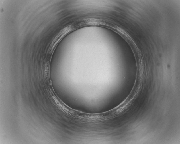 X0000053000801200507291641