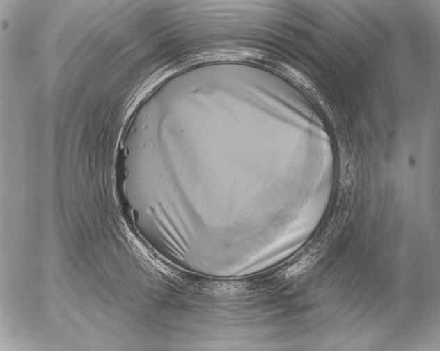 X0000053000802200507291641