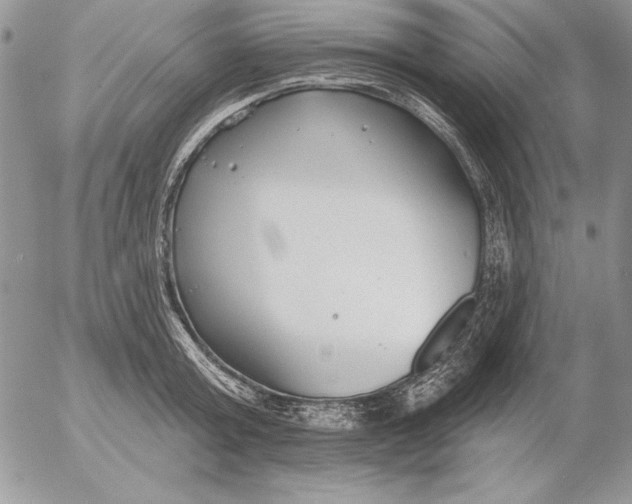 X0000053000803200507291641