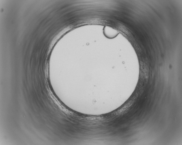 X0000053000804200507291641