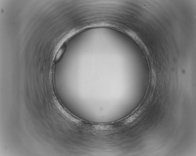 X0000053000805200507291641