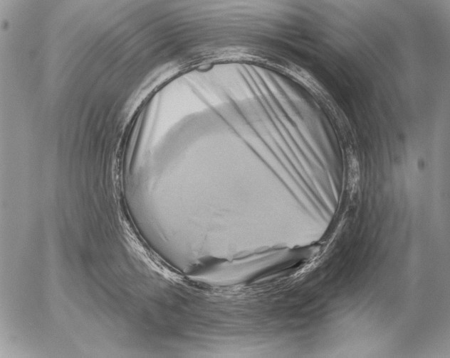 X0000053000806200507291641