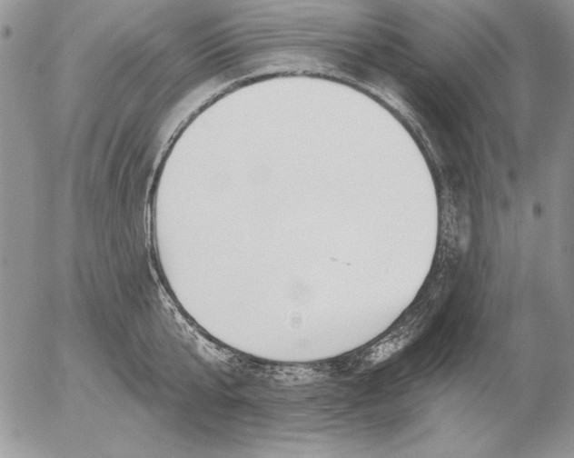 X0000053000807200507291641