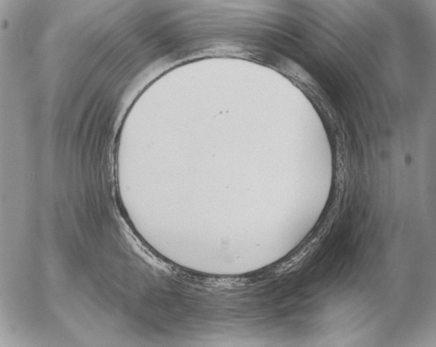 X0000053000808200507291641