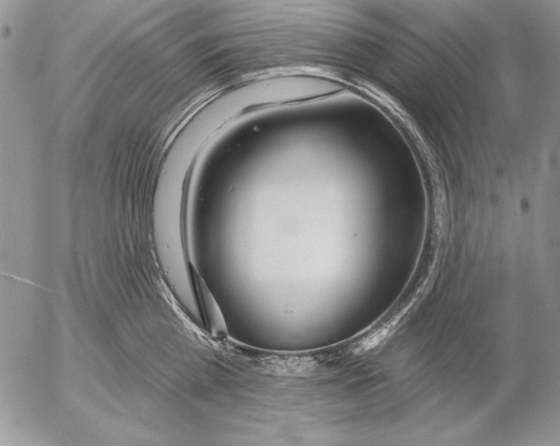 X0000053000809200507291641