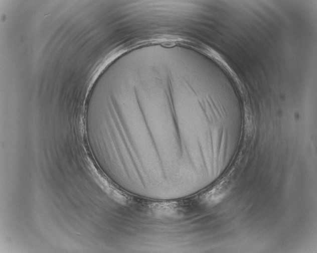 X0000053000810200507291641