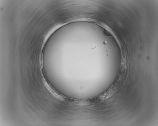 X0000053000811200507291641