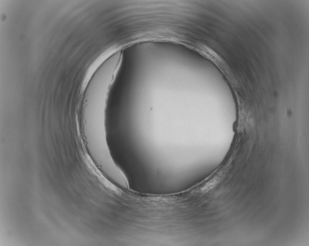 X0000053000812200507291641