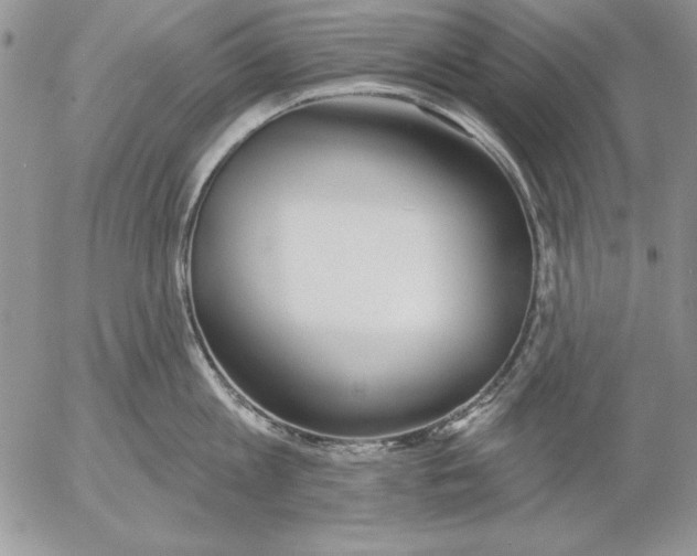 X0000053000813200507291641