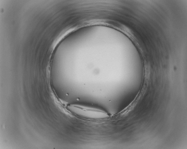 X0000053000814200507291641