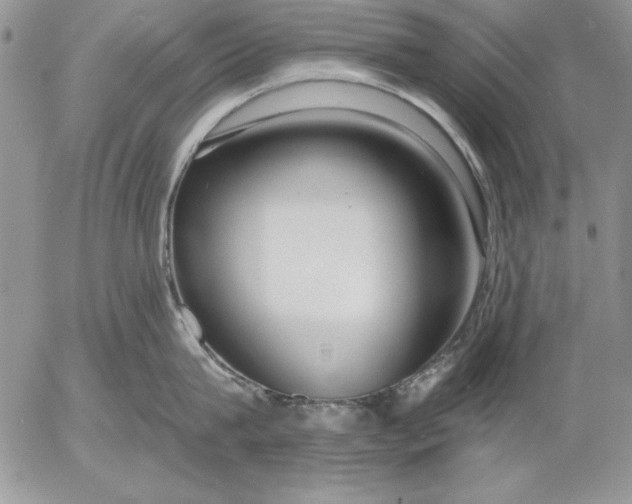 X0000053000815200507291641