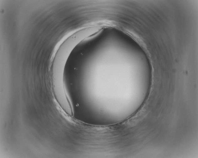 X0000053000816200507291641