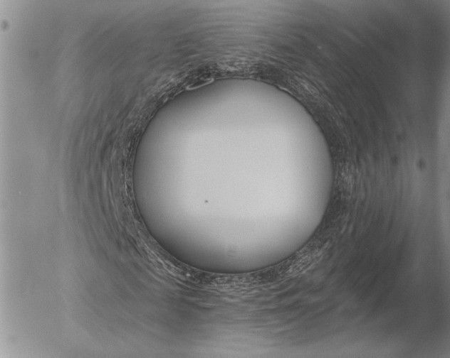 X0000053000817200507291640