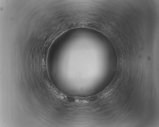 X0000053000818200507291640