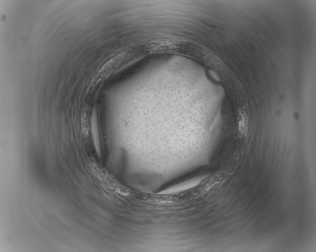 X0000053000819200507291640