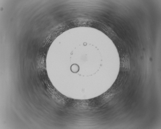 X0000053000820200507291640