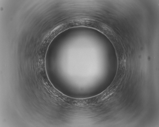 X0000053000822200507291640