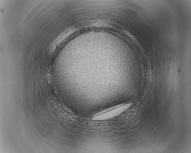 X0000053000823200507291640