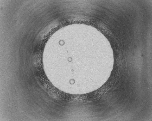 X0000053000824200507291640