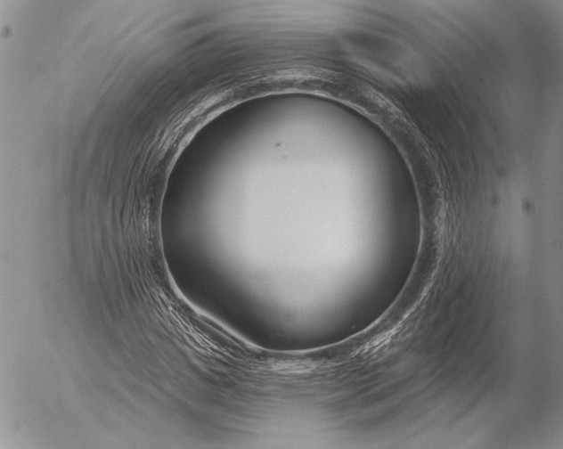 X0000053000825200507291640