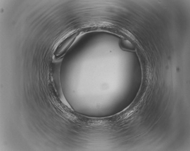 X0000053000826200507291640