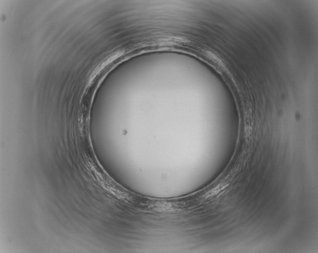 X0000053000827200507291640