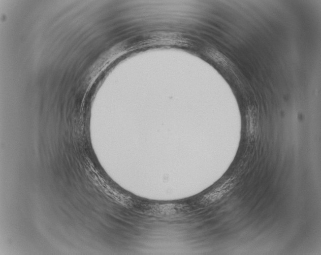 X0000053000828200507291640