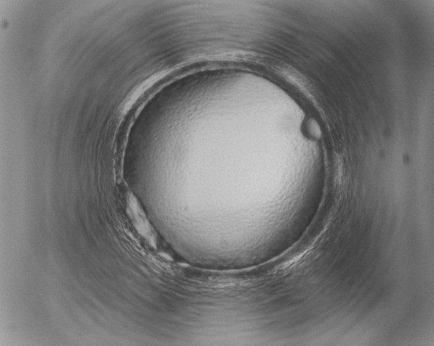 X0000053000829200507291640