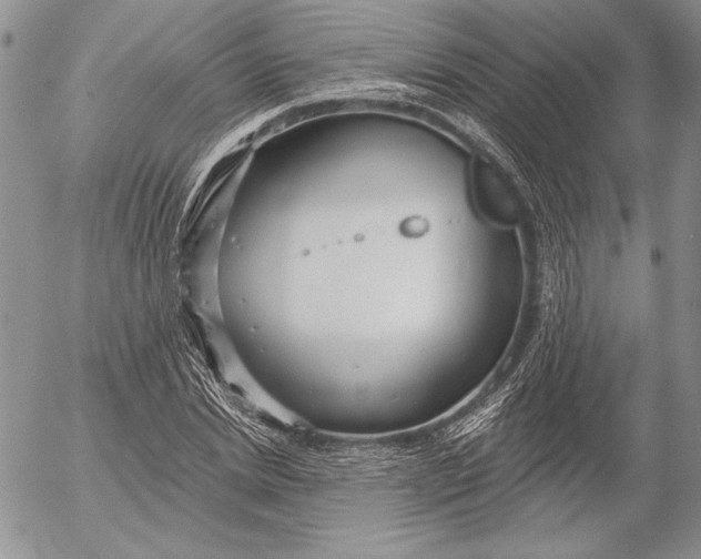 X0000053000830200507291640