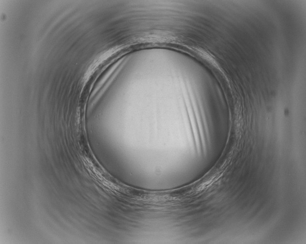 X0000053000831200507291640