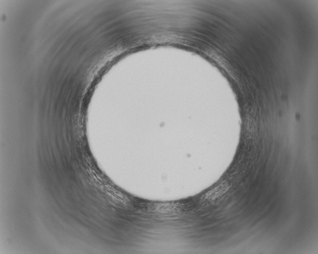 X0000053000832200507291640