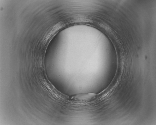 X0000053000833200507291640