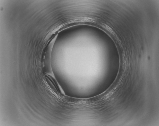 X0000053000834200507291640