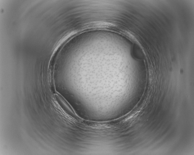 X0000053000835200507291640