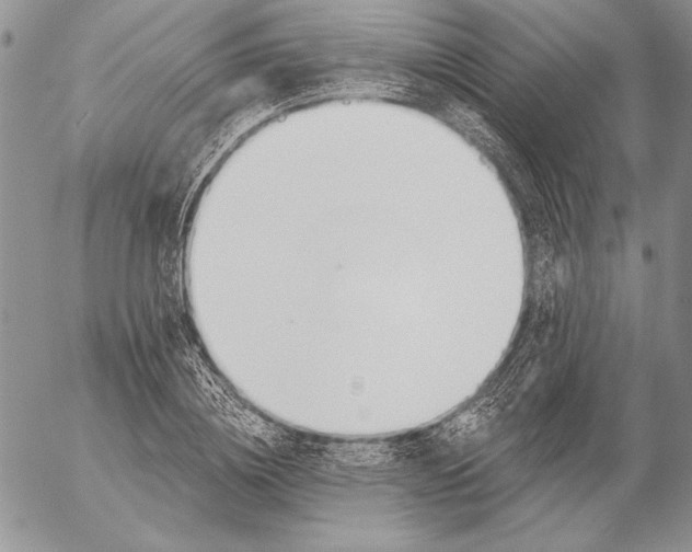 X0000053000836200507291640