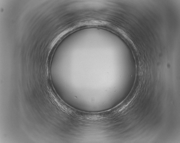 X0000053000837200507291640