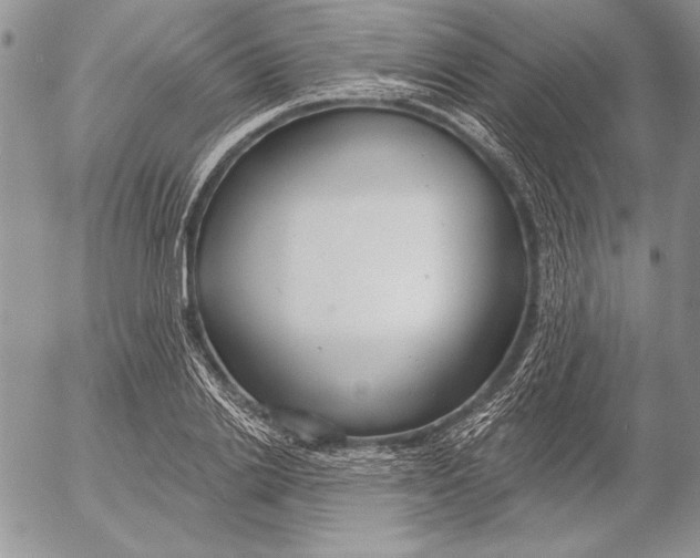 X0000053000838200507291640