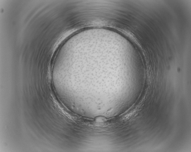 X0000053000839200507291640