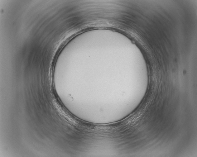 X0000053000840200507291640