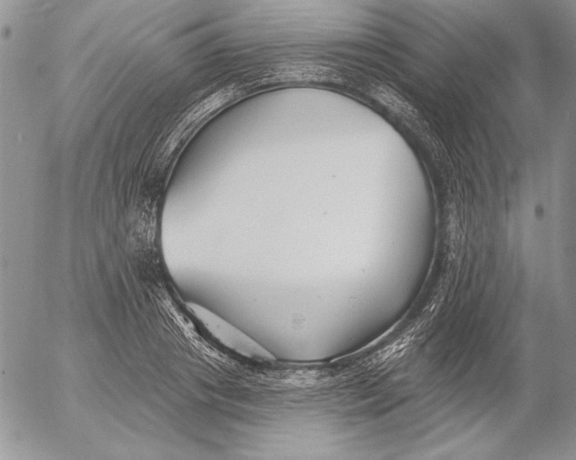 X0000053000841200507291640